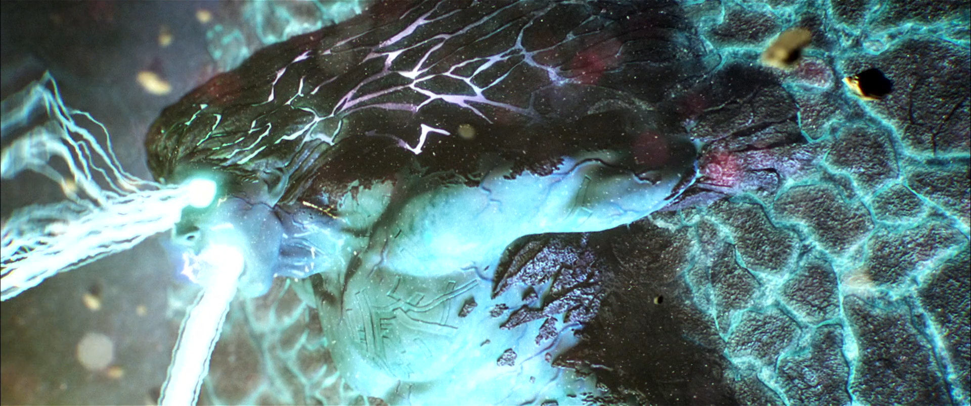 Los caballeros del zodiaco - La leyenda del santuario (?)